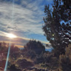 Meet your Posher, Liam